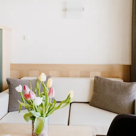 Salin & Mountain Hotel